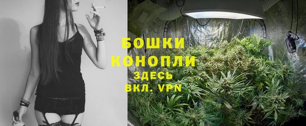 тгк Осинники