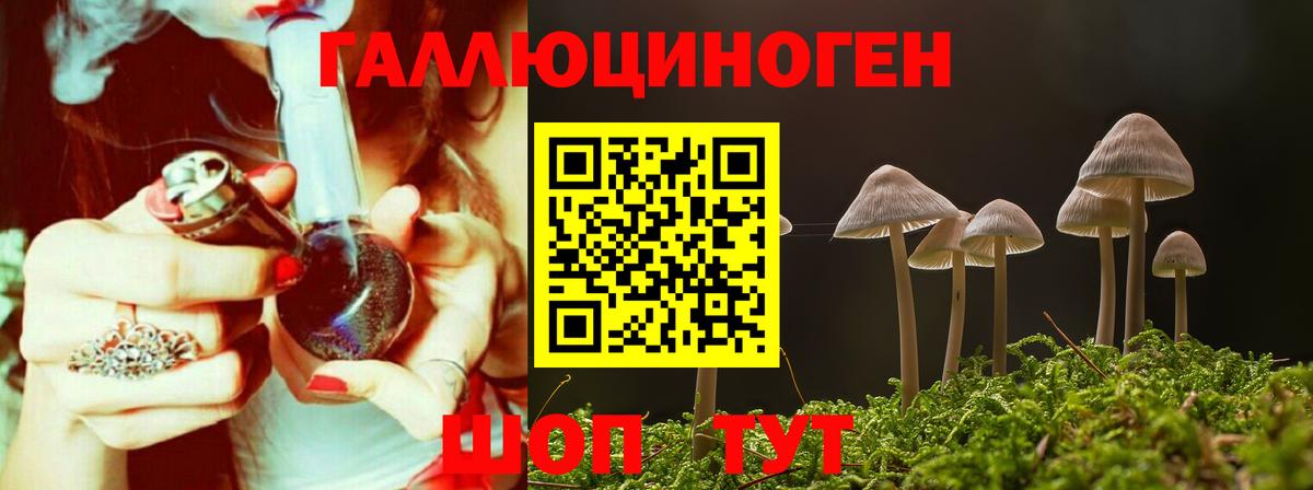 Галлюциногенные грибы GOLDEN TEACHER Солнечногорск