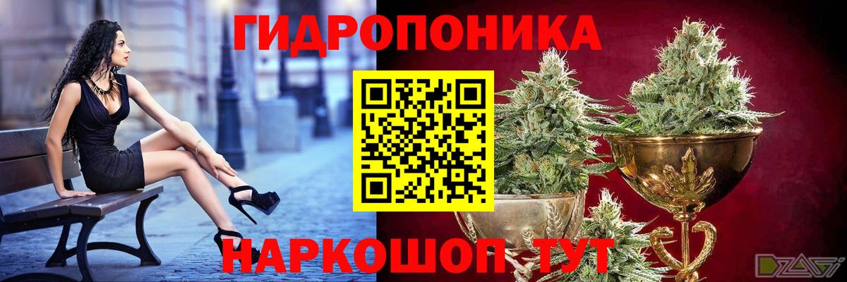 Бошки Шишки семена Солнечногорск